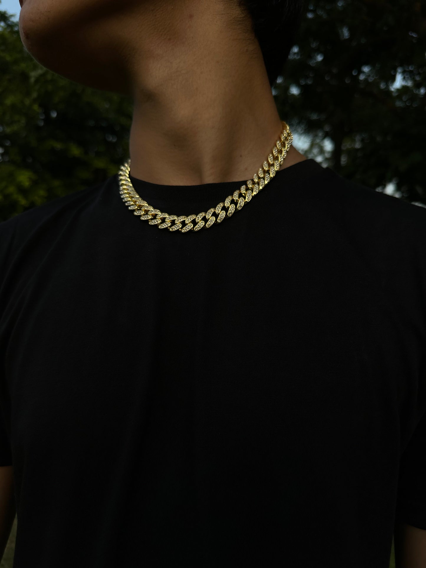 Double Link Golden Iced Out Chain